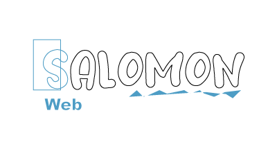 Salomon Web Services LATAM