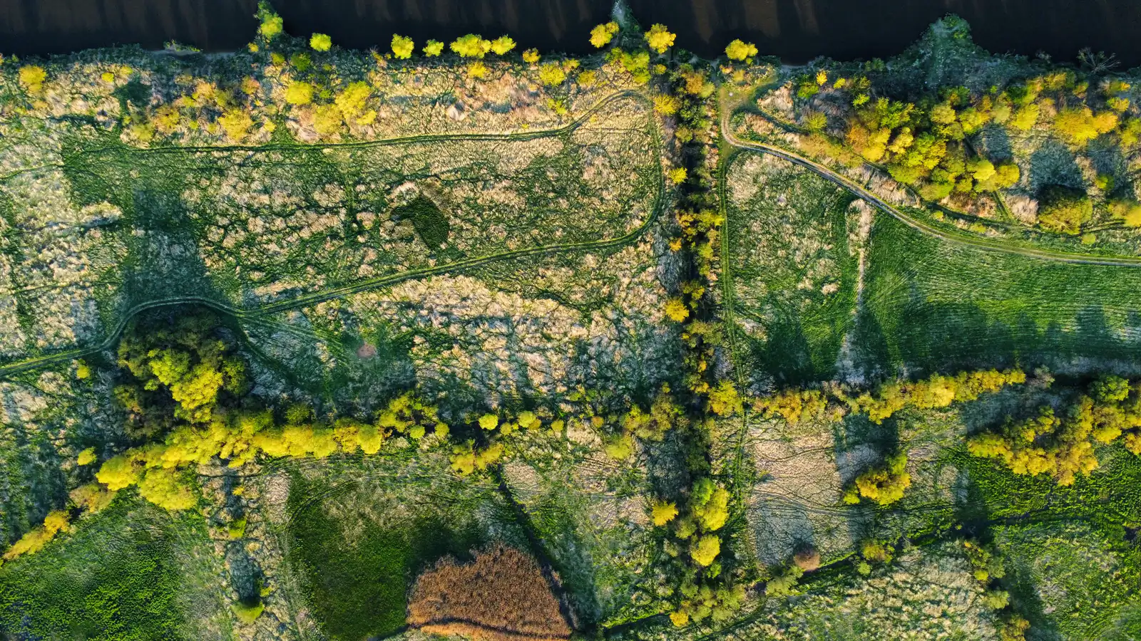 Vista cenital de un terreno dividido en parcelas, con caminos y linderos visibles